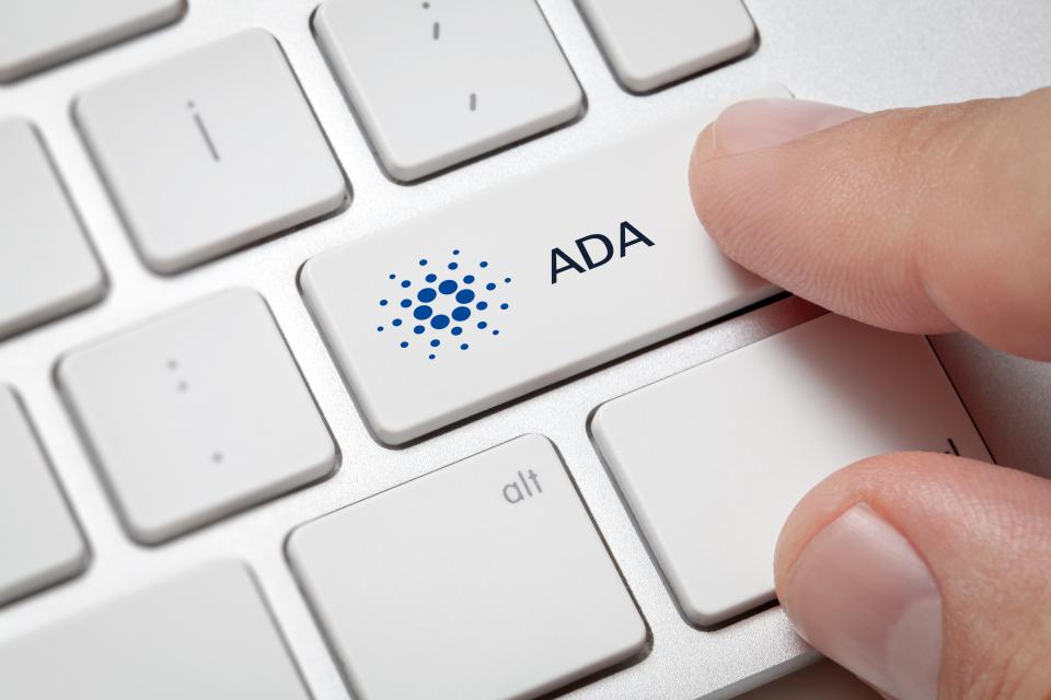 Image of computer keyboard ADA being pressed 